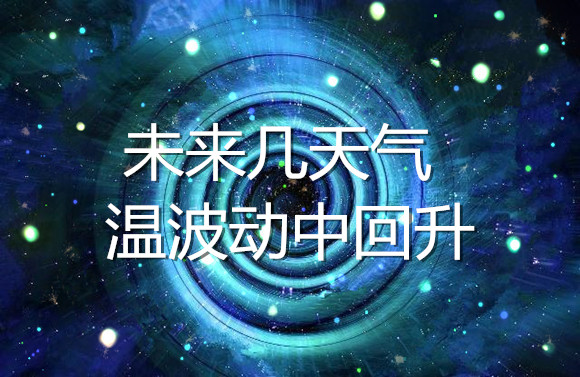 資訊文章.jpg