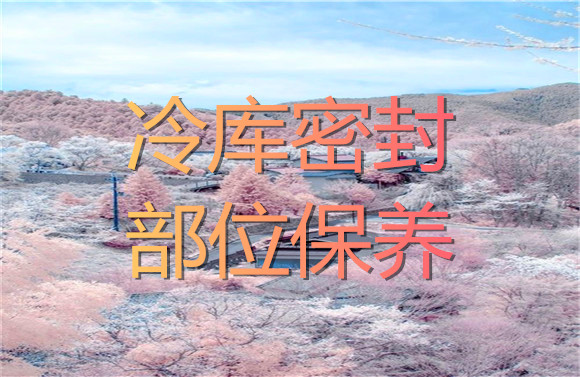 冷庫(kù)密封部位保養(yǎng).jpg