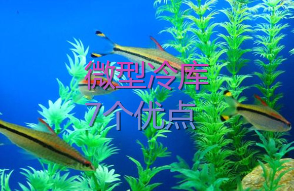 微型冷庫7個優(yōu)點.jpg