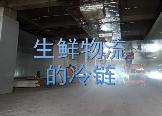生鮮物流的冷鏈.jpg