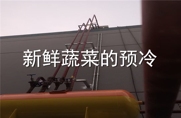 新鮮蔬菜的預(yù)冷.jpg