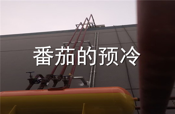番茄的預冷.jpg
