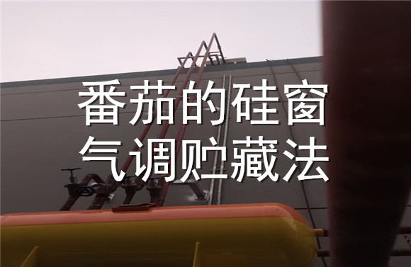 番茄的硅窗氣調(diào)貯藏法.jpg