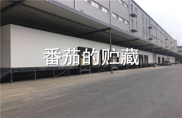 番茄的貯藏.jpg