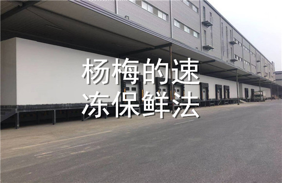 楊梅的速凍保鮮法.jpg