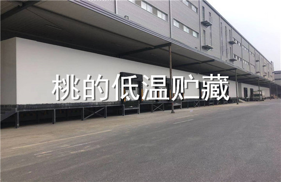 桃的低溫貯藏.jpg