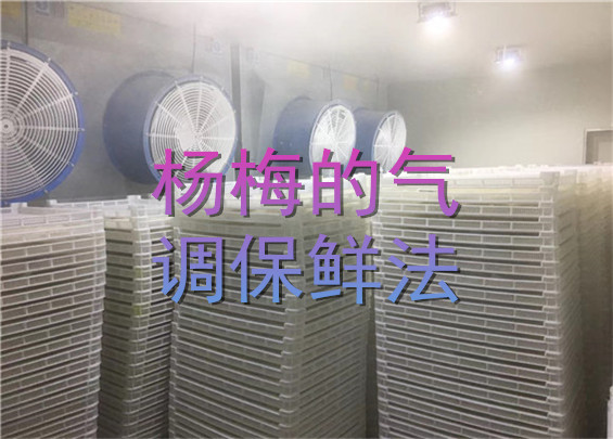 楊梅的氣調(diào)保鮮法.jpg