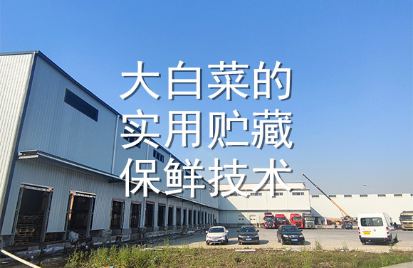 大白菜的實(shí)用貯藏保鮮技術(shù).jpg