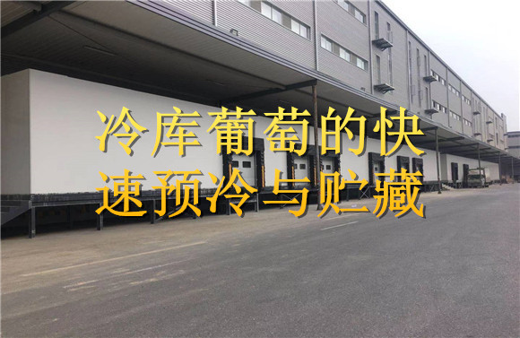 冷庫葡萄的快速預冷與貯藏 .jpg