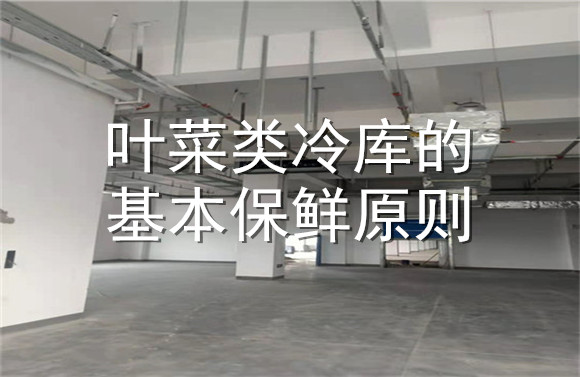 葉菜類冷庫的基本保鮮原則.jpg