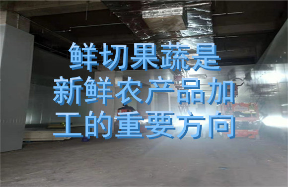 鮮切果蔬是新農(nóng)產(chǎn)品加工重要方向.jpg