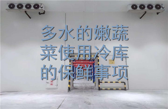 多水的嫩蔬菜使用冷庫的保鮮事項(xiàng).jpg