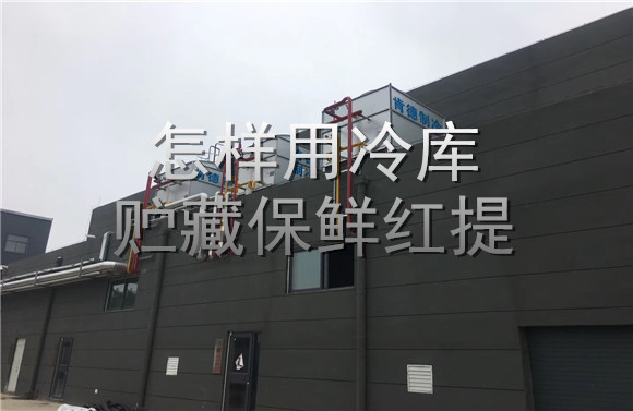 怎樣用冷庫(kù)貯藏保鮮紅提.jpg