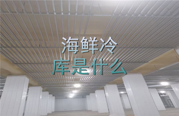 海鮮冷庫是什么.jpg