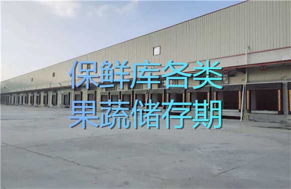 保鮮庫各類果蔬儲存期.jpg