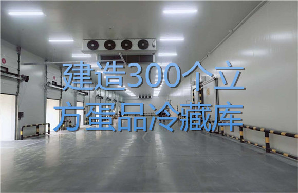 建造300個(gè)立方蛋品冷藏庫.jpg