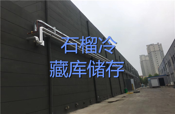 石榴冷藏庫儲存.jpg