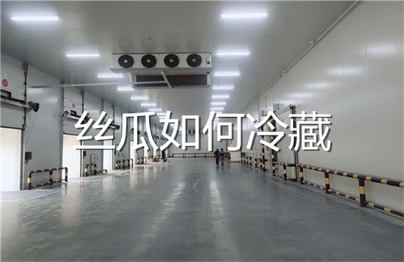 絲瓜如何冷藏.jpg