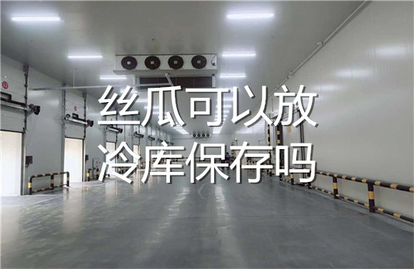 絲瓜可以放冷庫保存嗎.jpg