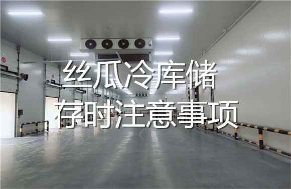 絲瓜冷庫儲(chǔ)存時(shí)注意事項(xiàng).jpg