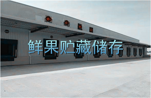 鮮果貯藏儲存.jpg